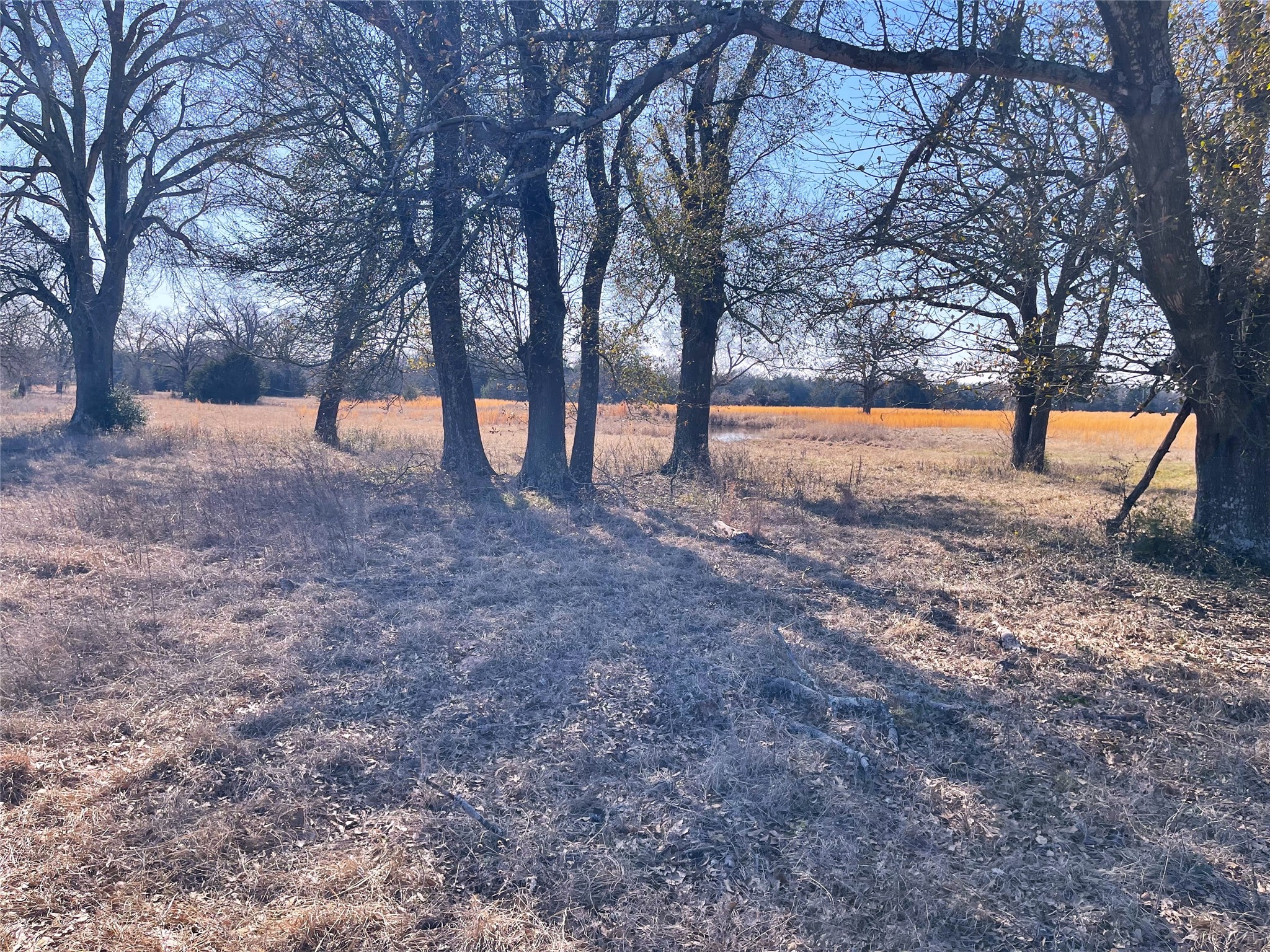 755 FCR 601, Teague, TX, 75860