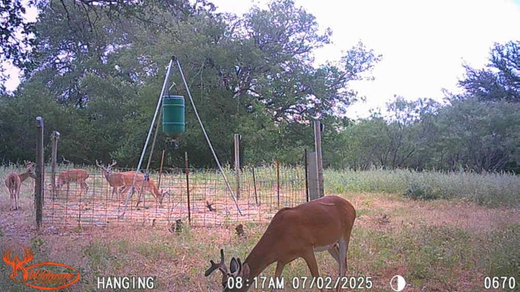 TBD S Fm 3023, Goldthwaite, TX, 76844