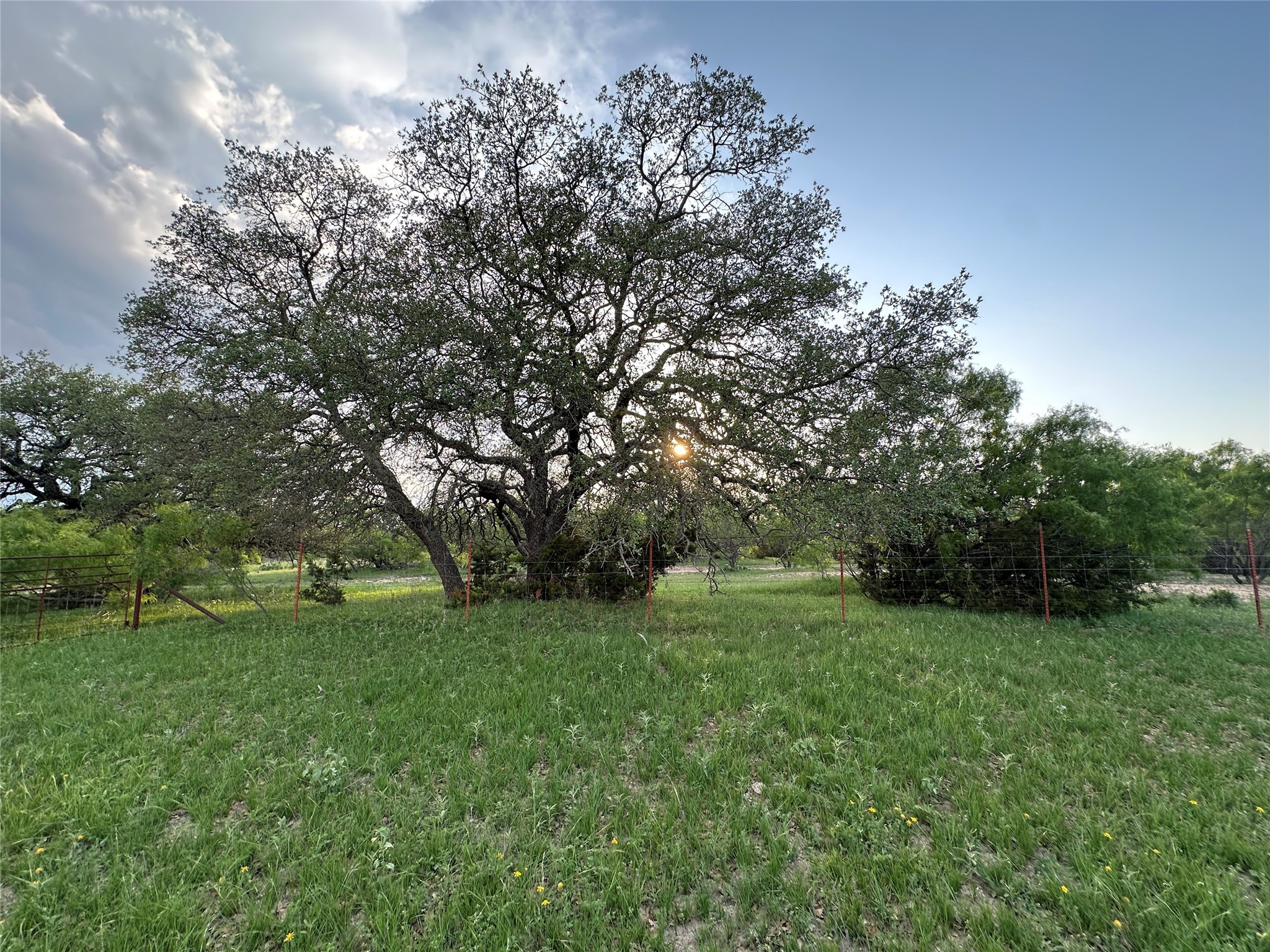 TBD S Fm 3023, Goldthwaite, TX, 76844
