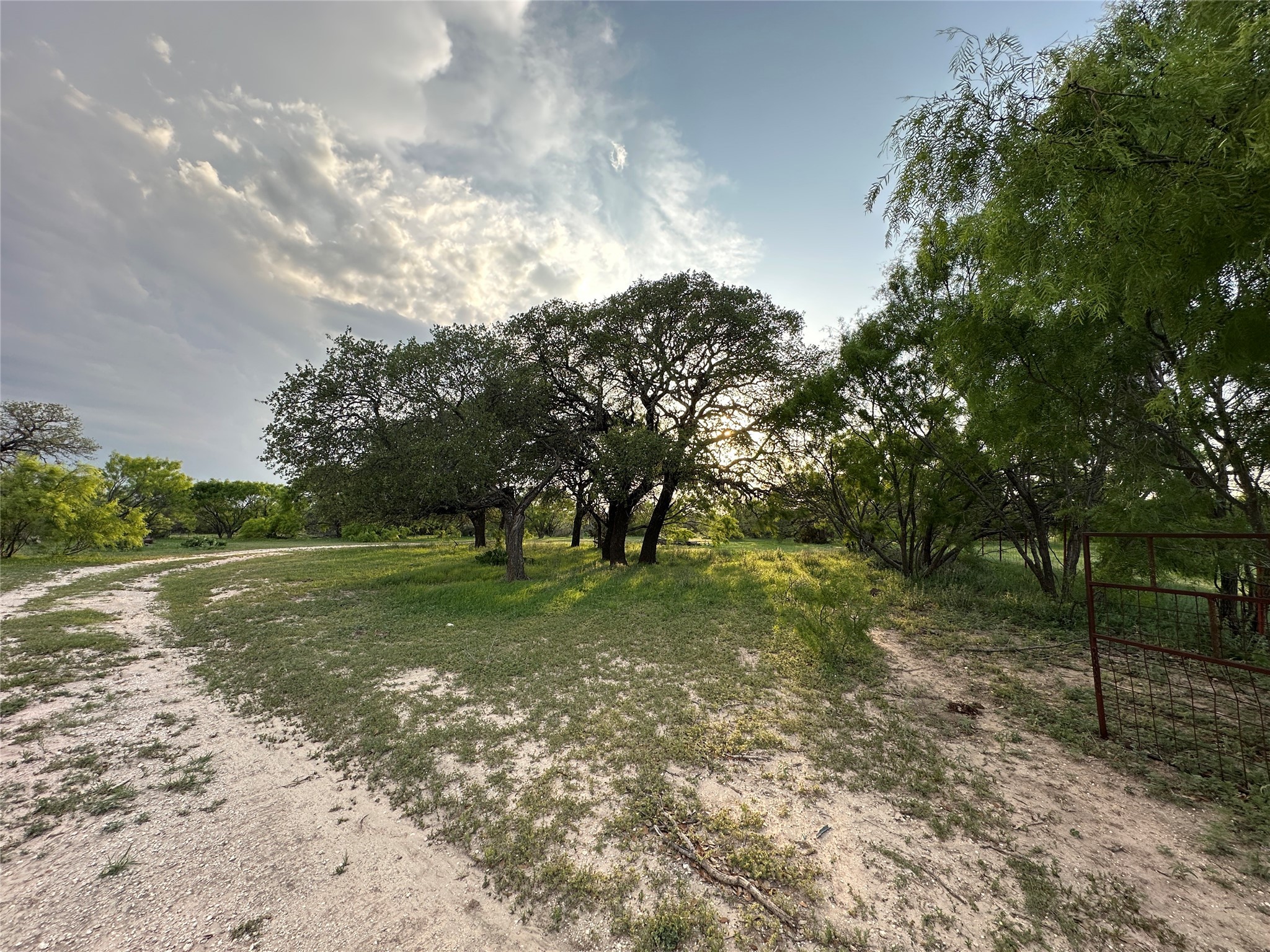 TBD S Fm 3023, Goldthwaite, TX, 76844