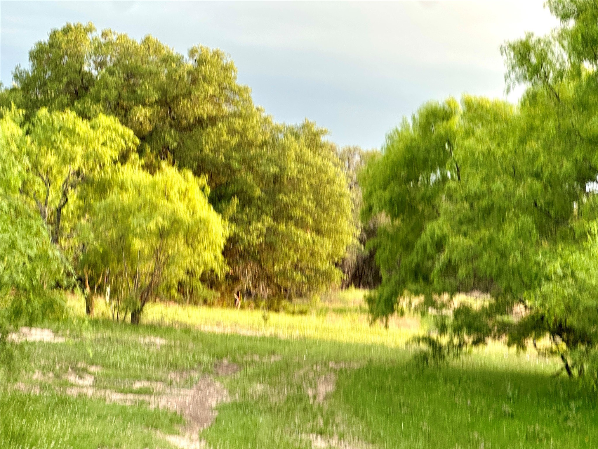 TBD S Fm 3023, Goldthwaite, TX, 76844