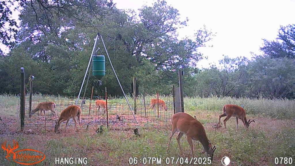 TBD S Fm 3023, Goldthwaite, TX, 76844