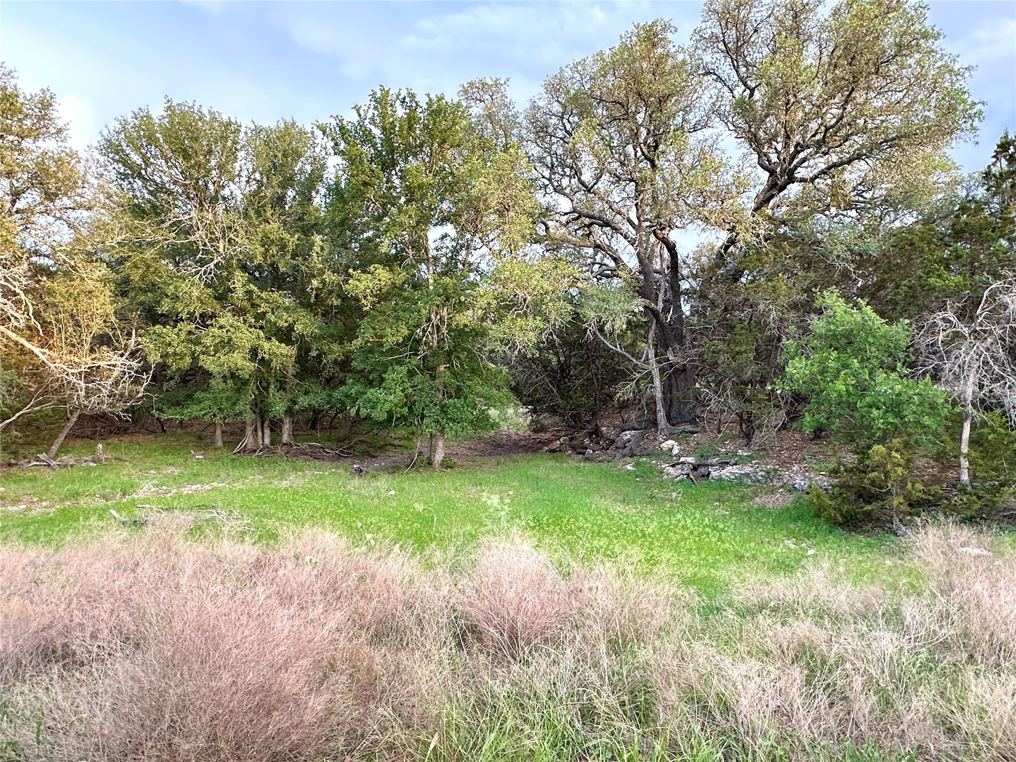 TBD S Fm 3023, Goldthwaite, TX, 76844