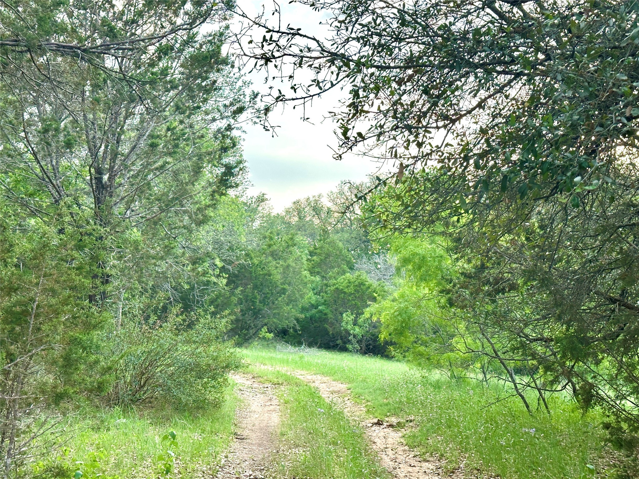 TBD S Fm 3023, Goldthwaite, TX, 76844