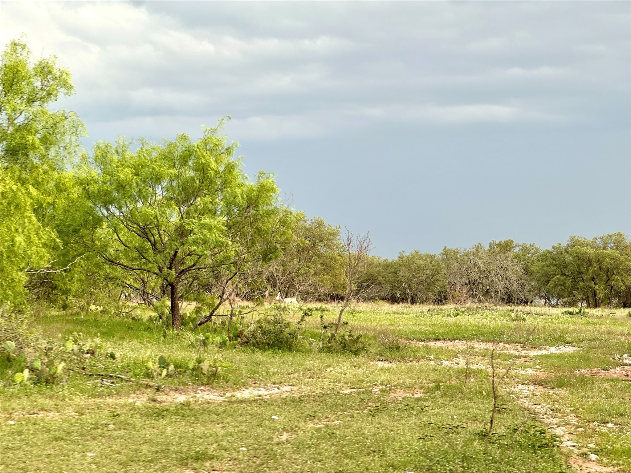 TBD S Fm 3023, Goldthwaite, TX, 76844
