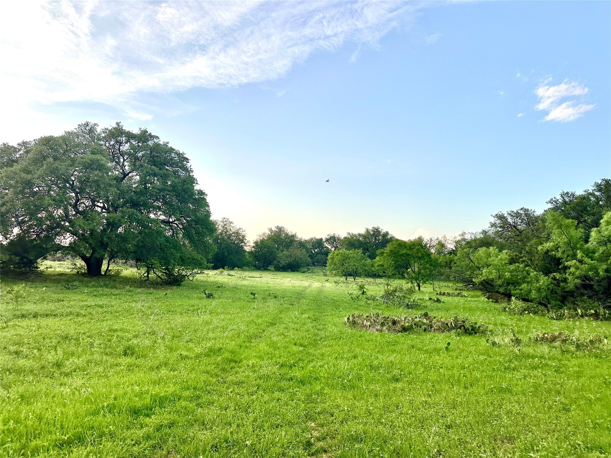 TBD S Fm 3023, Goldthwaite, TX, 76844