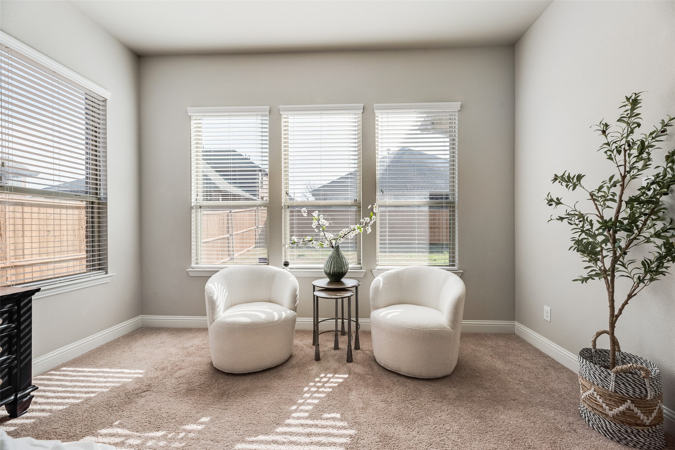 2407 Maston Drive, Anna, TX, 75409