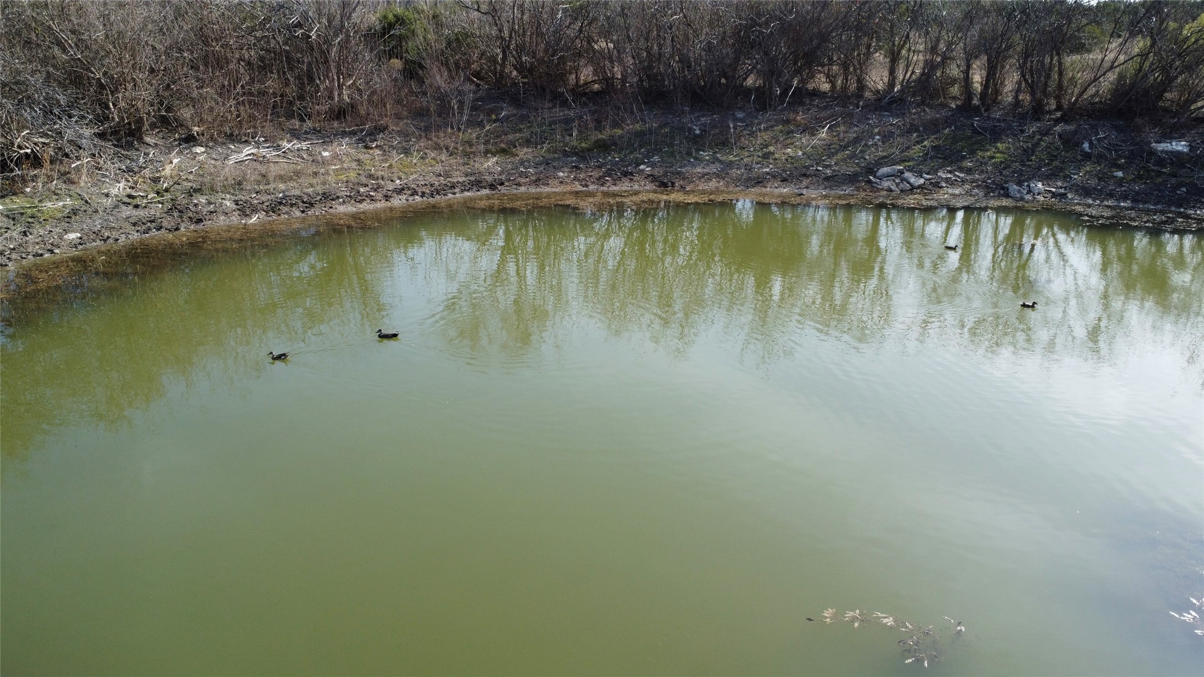 0000 County Road 119, Hico, TX, 76457