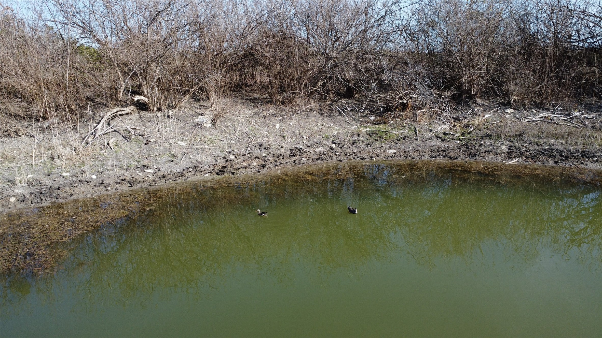 0000 County Road 119, Hico, TX, 76457