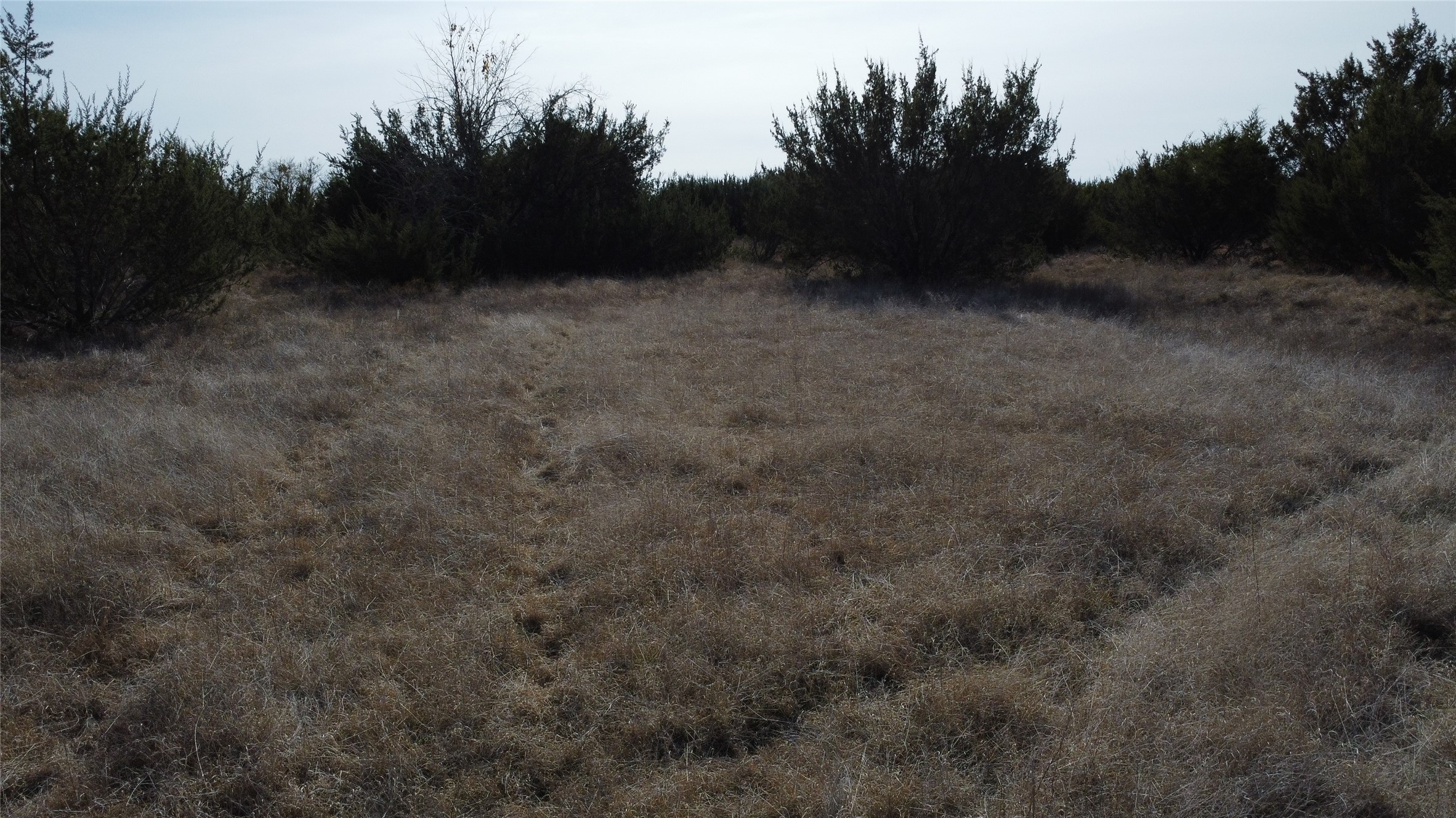 0000 County Road 119, Hico, TX, 76457