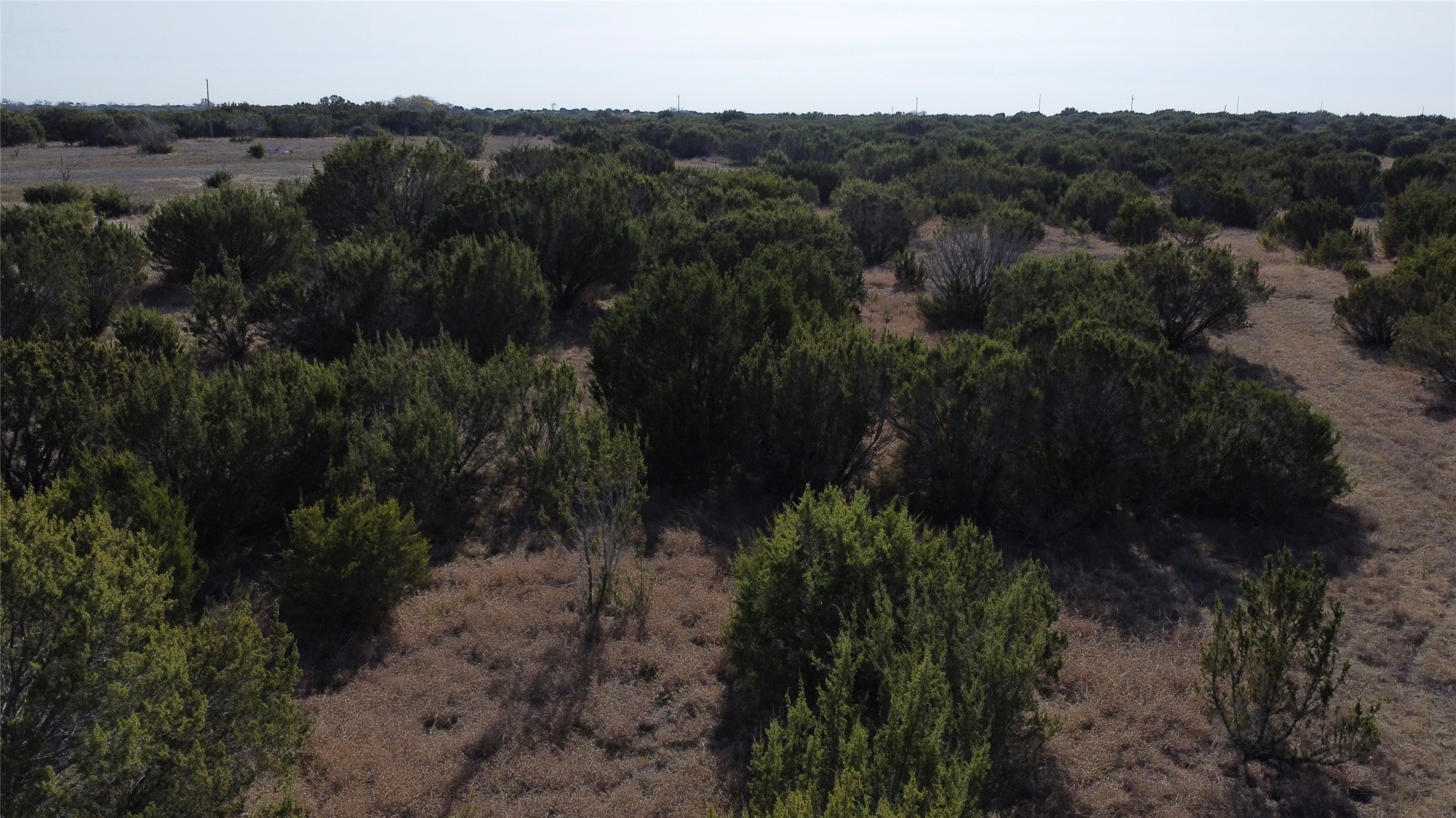 0000 County Road 119, Hico, TX, 76457