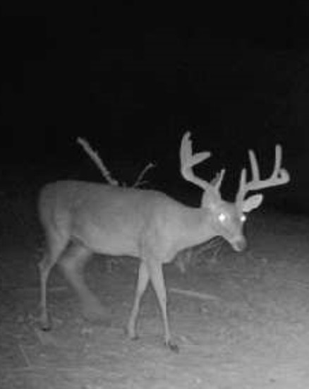 0000 County Road 119, Hico, TX, 76457
