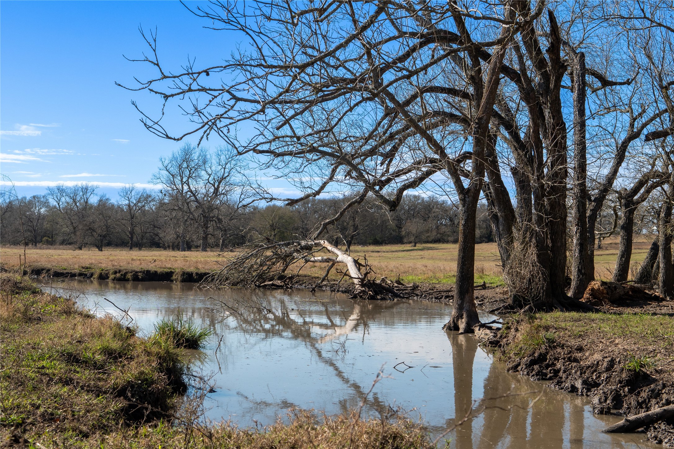 0 LCR 412, Groesbeck, TX, 76642