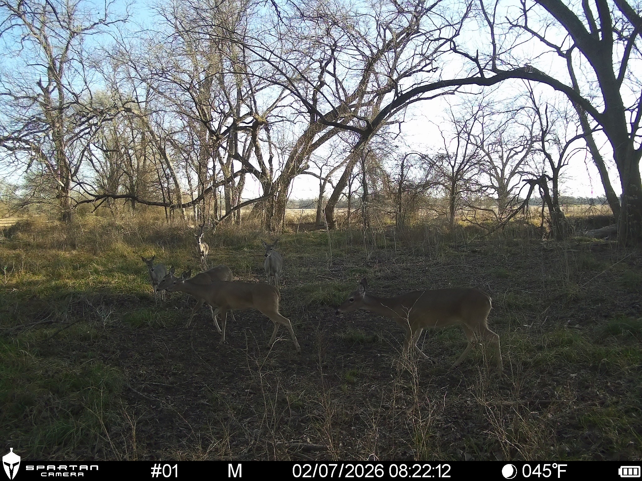 0 LCR 412, Groesbeck, TX, 76642