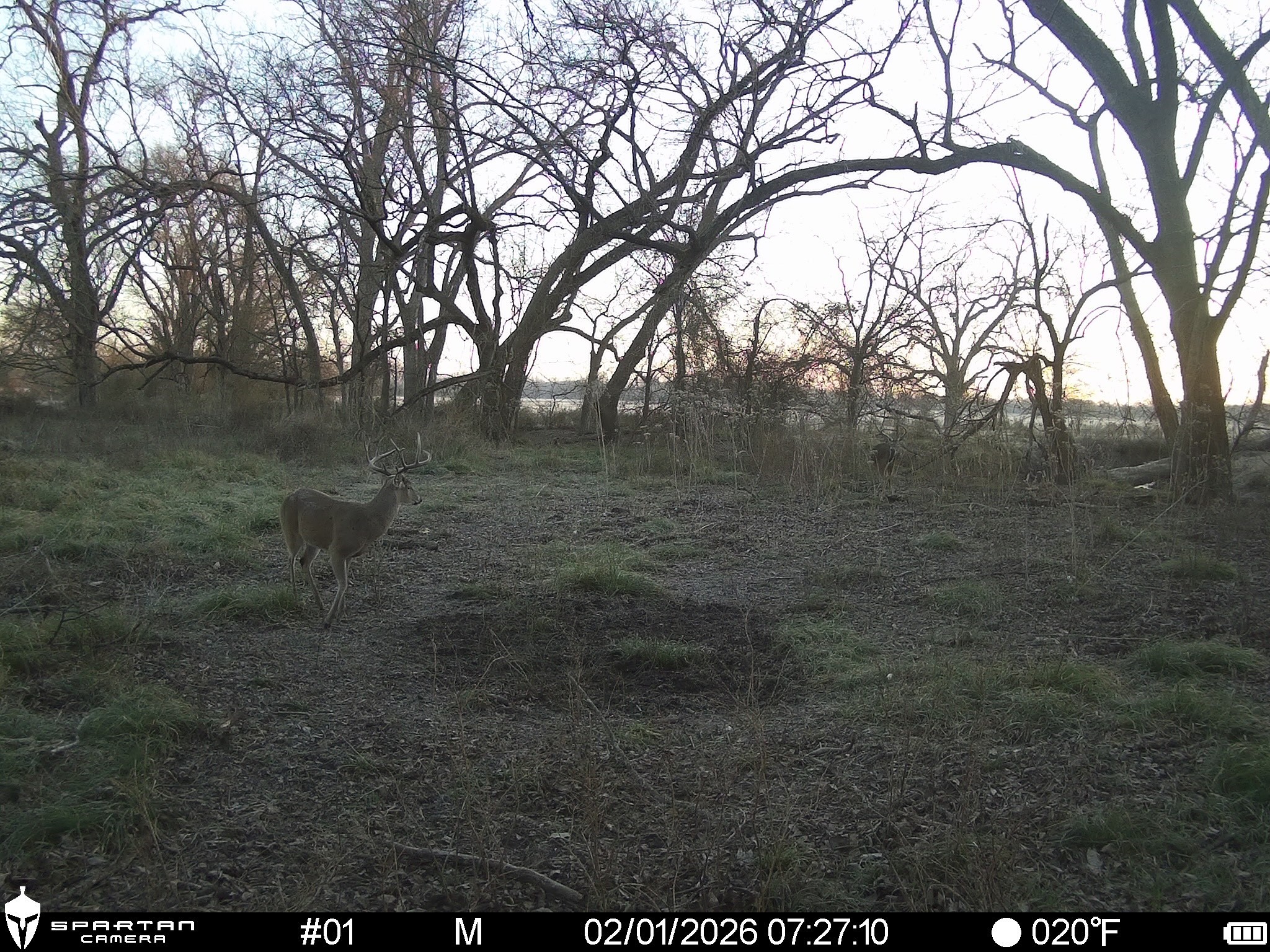 0 LCR 412, Groesbeck, TX, 76642