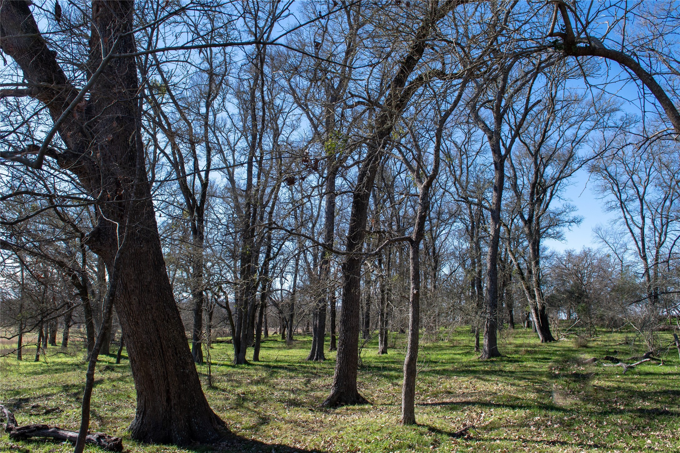 0 LCR 412, Groesbeck, TX, 76642