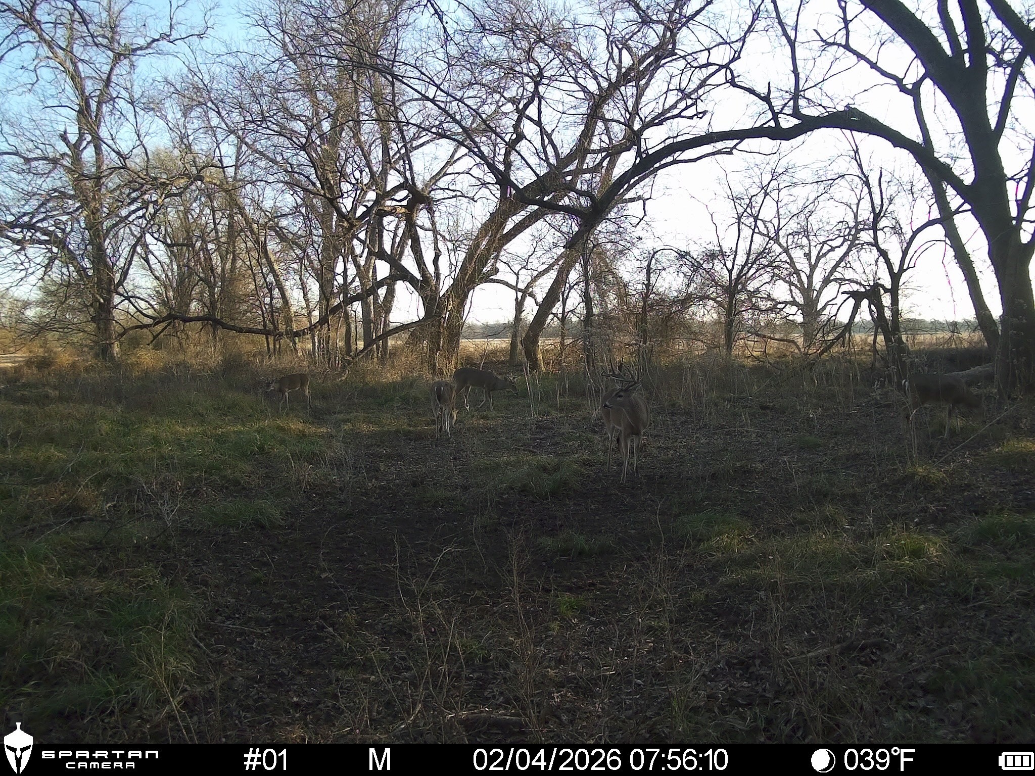 0 LCR 412, Groesbeck, TX, 76642