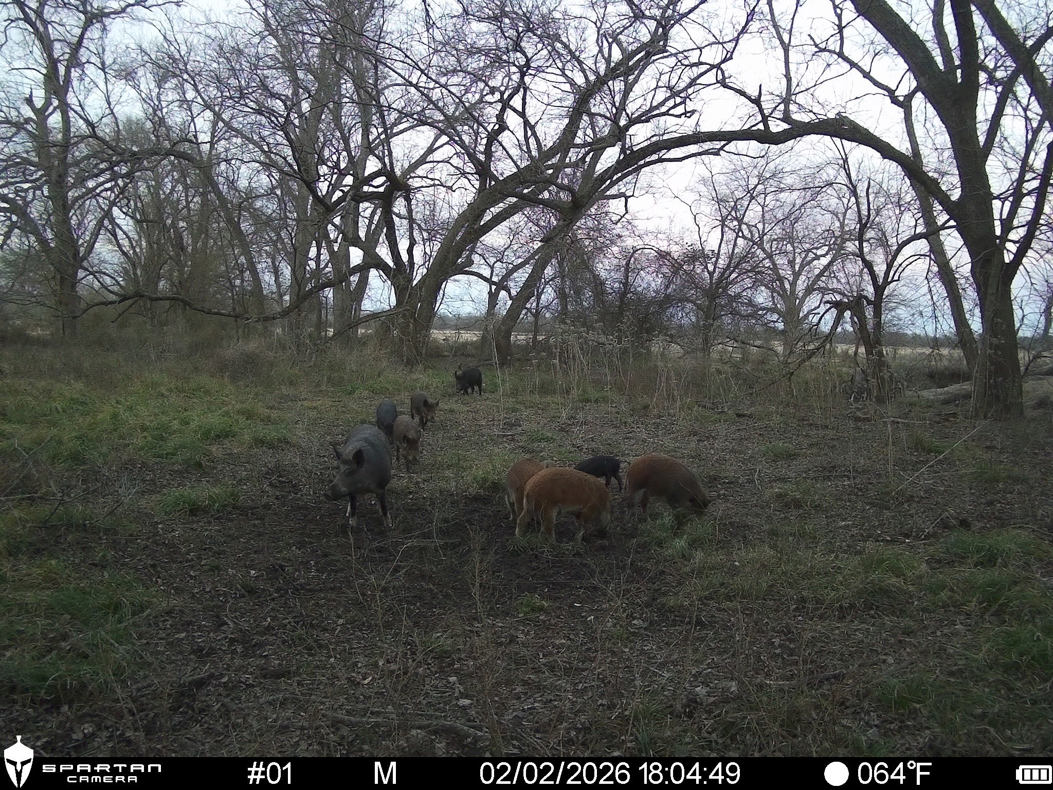 0 LCR 412, Groesbeck, TX, 76642