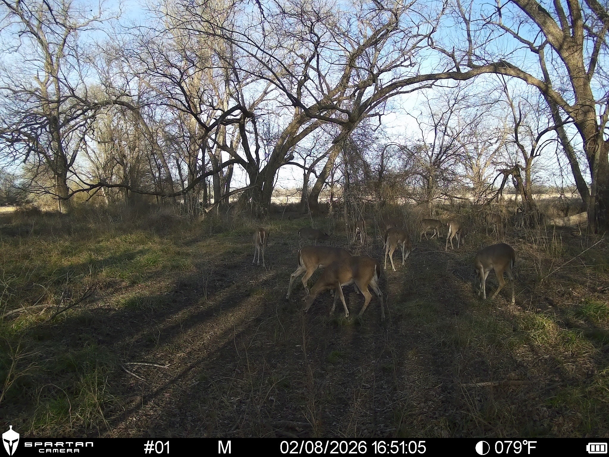 0 LCR 412, Groesbeck, TX, 76642