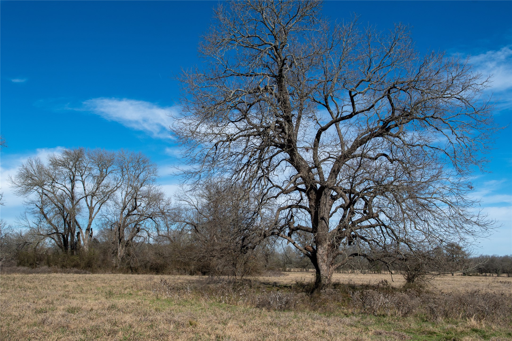 0 LCR 412, Groesbeck, TX, 76642