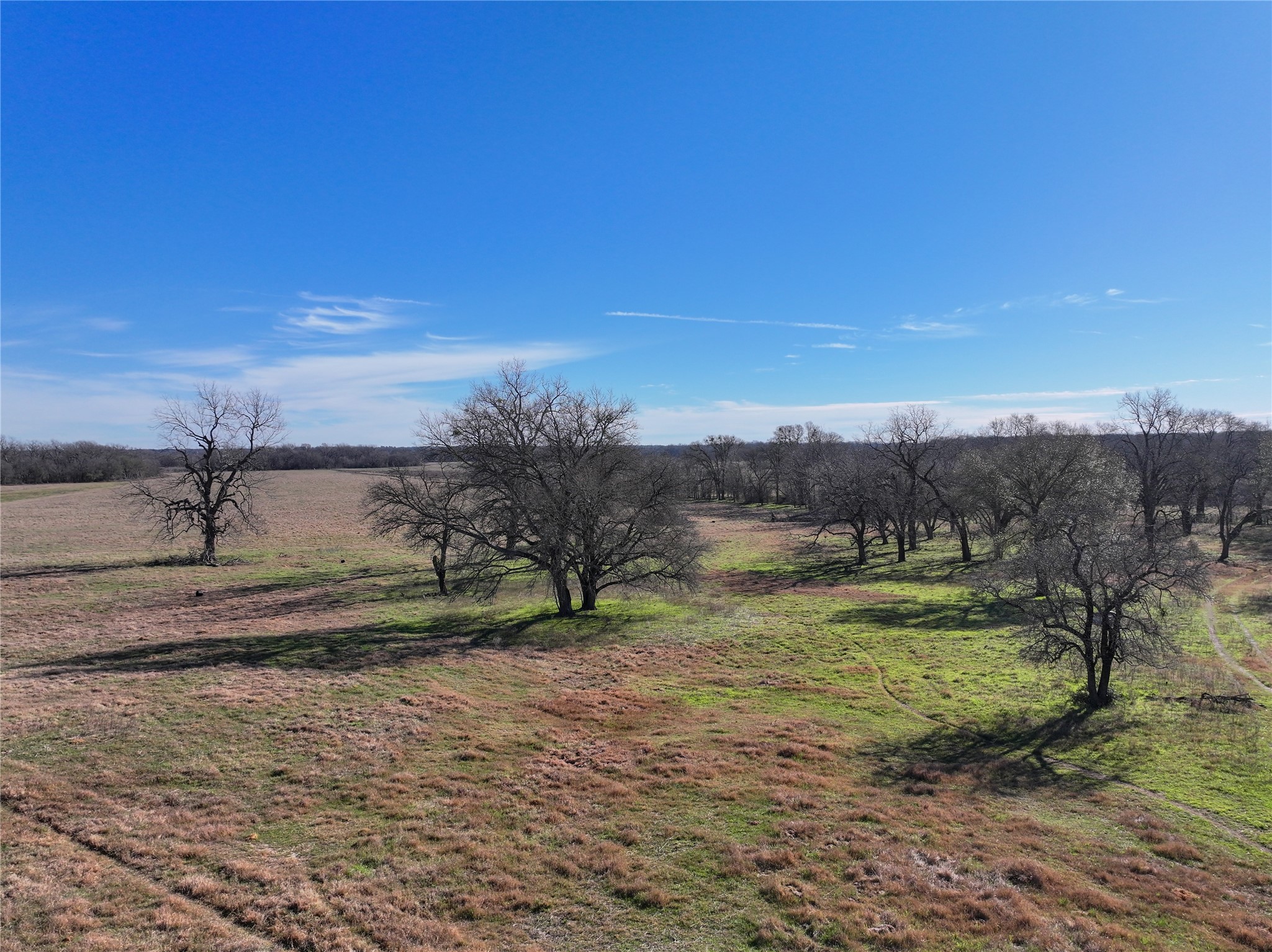 0 LCR 412, Groesbeck, TX, 76642
