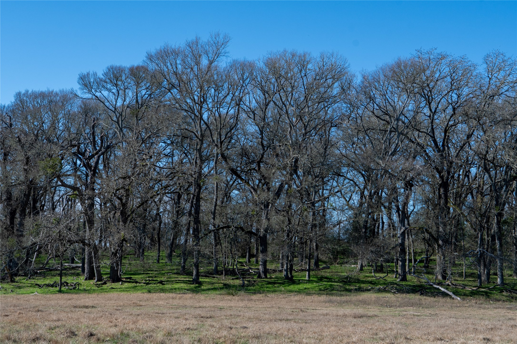 0 LCR 412, Groesbeck, TX, 76642
