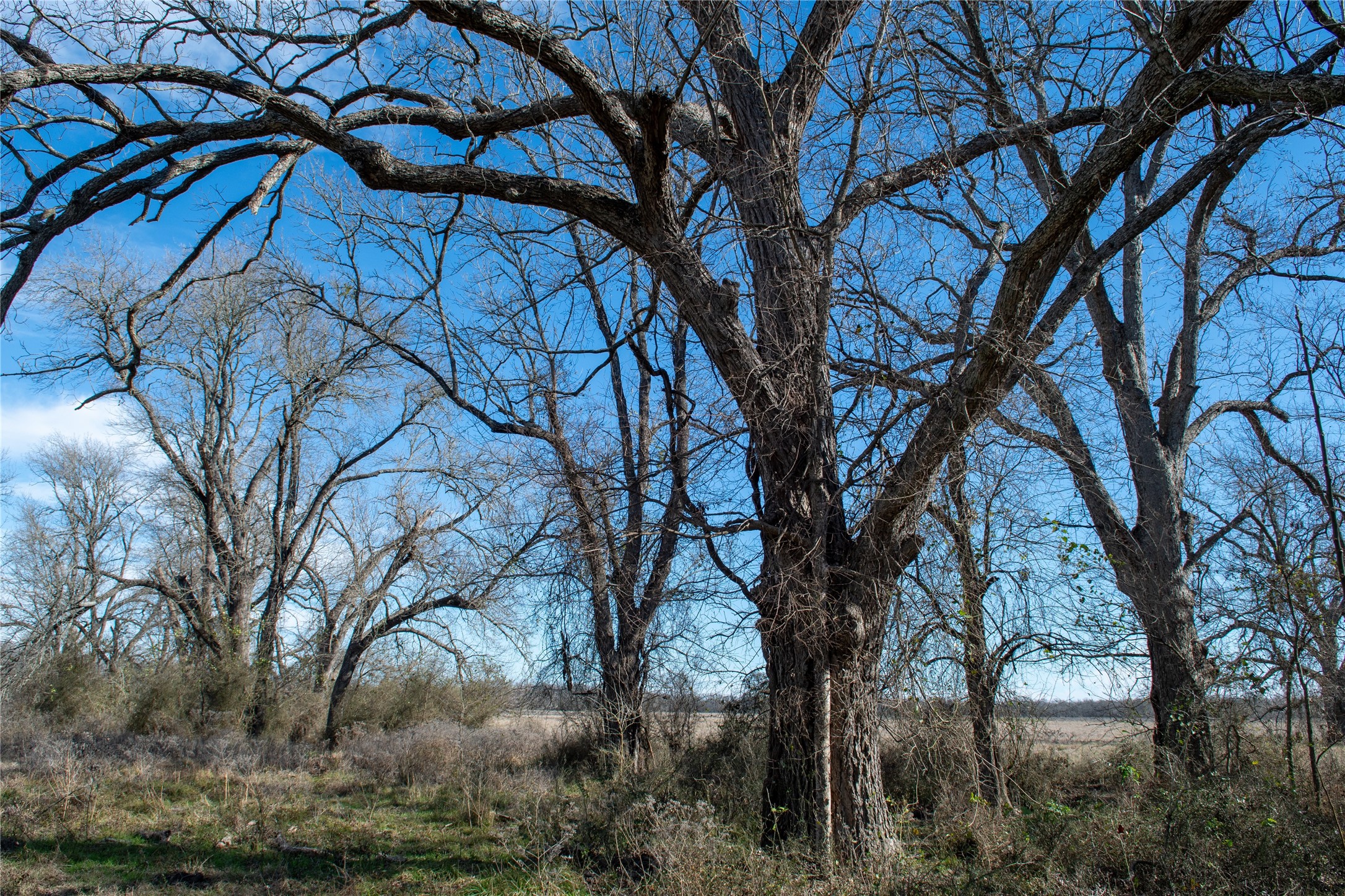 0 LCR 412, Groesbeck, TX, 76642