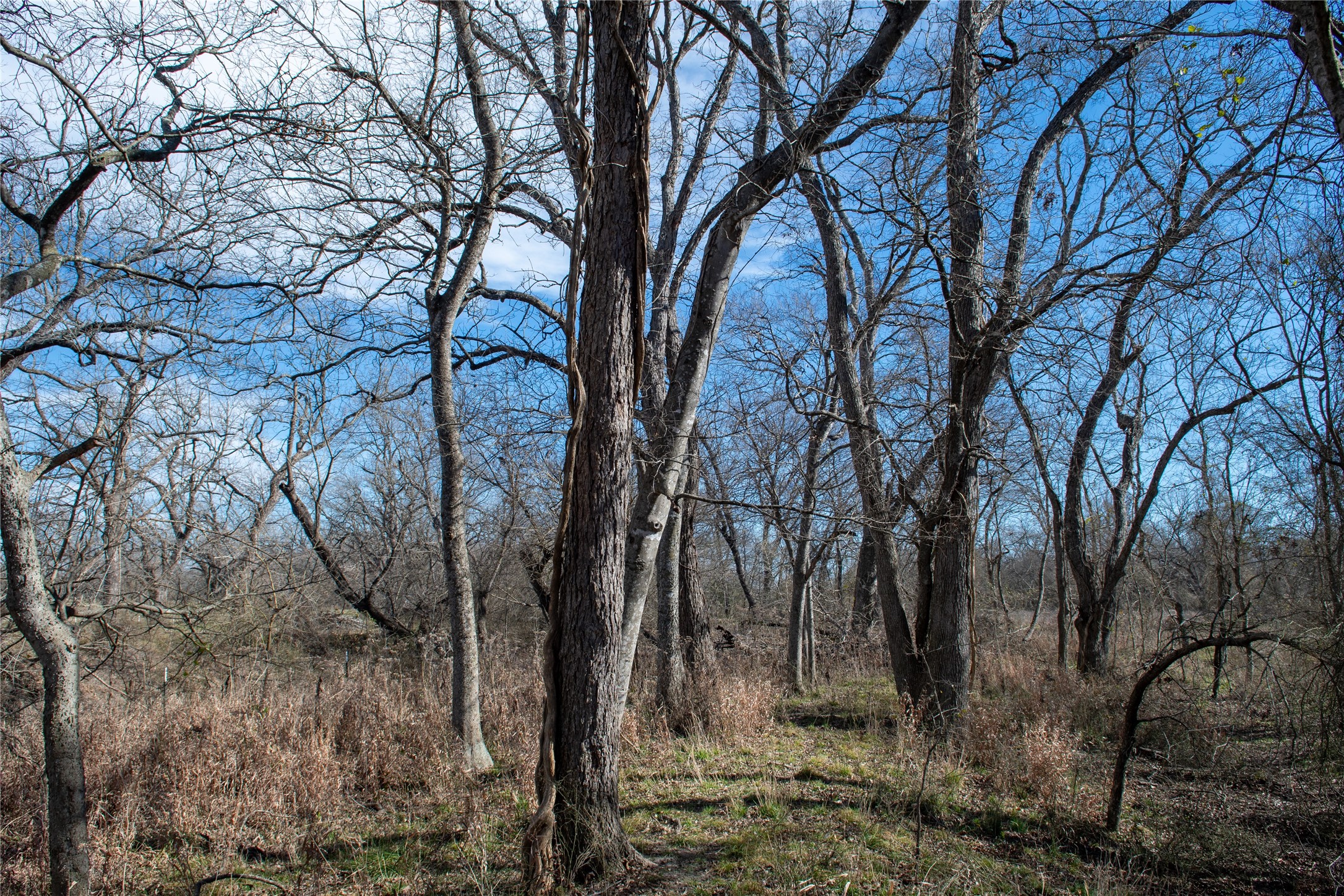 0 LCR 412, Groesbeck, TX, 76642