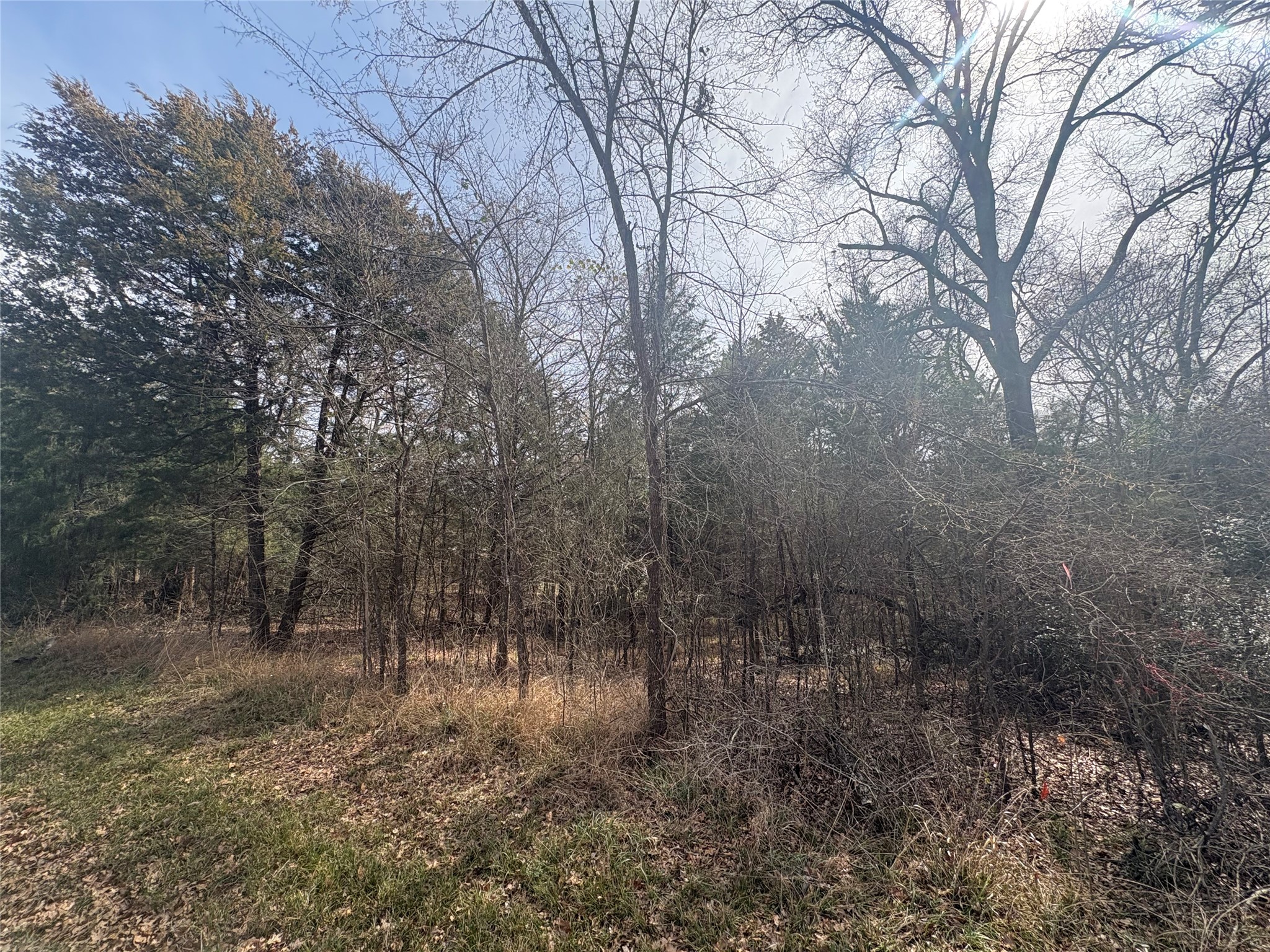 0000 Beachwood Drive, Trinidad, TX, 75163