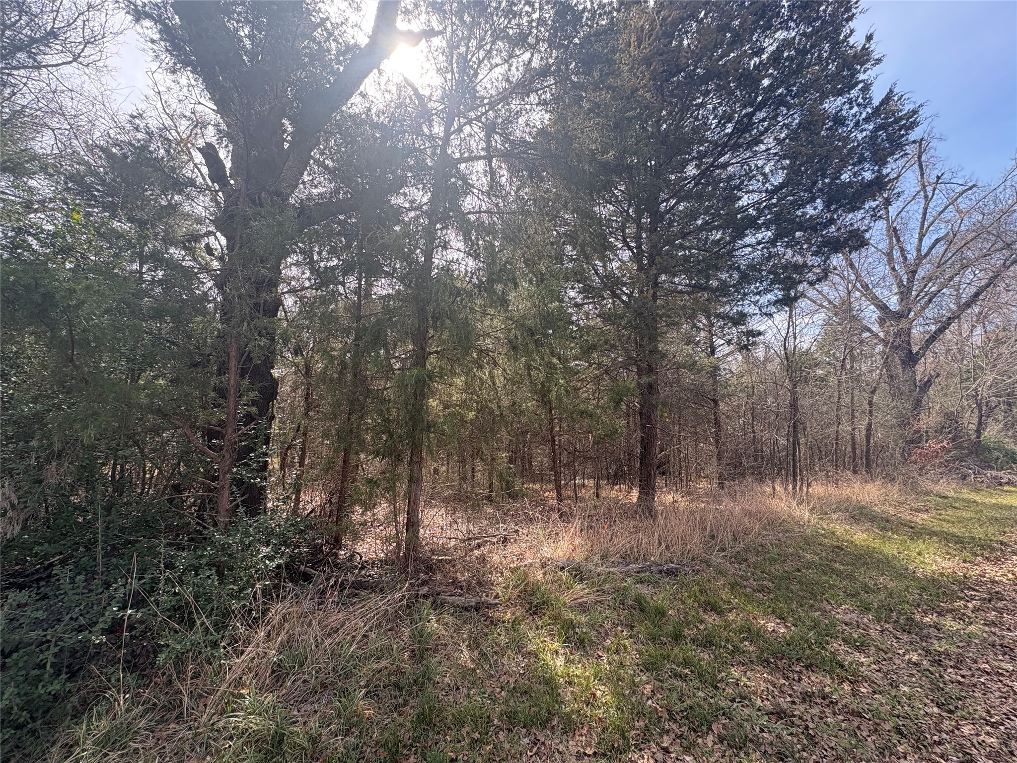 0000 Beachwood Drive, Trinidad, TX, 75163