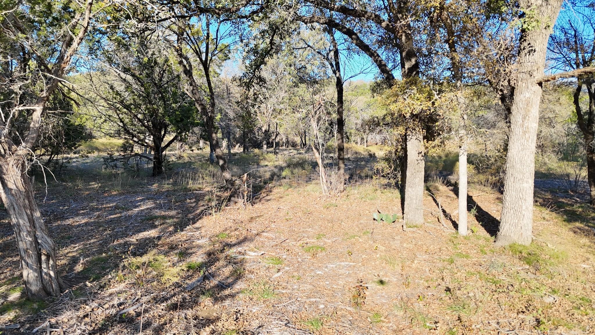 LOT 187 WOODED ACRES Drive, Mineral Wells, TX, 76067