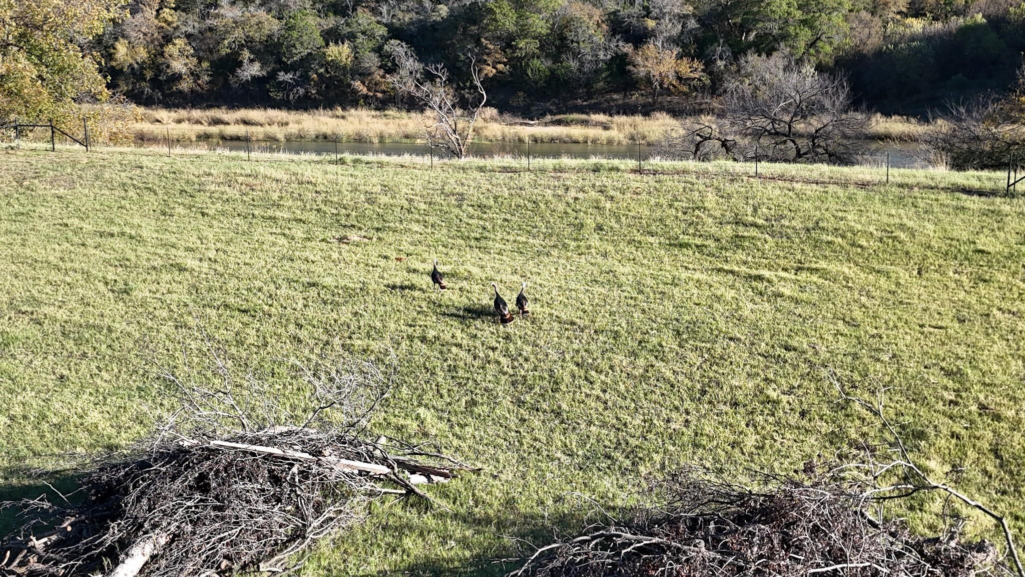 LOT 187 WOODED ACRES Drive, Mineral Wells, TX, 76067