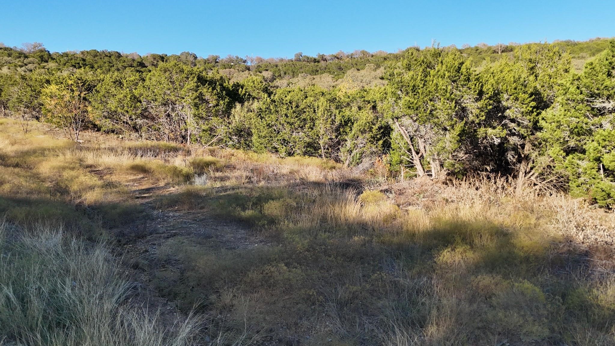 LOT 187 WOODED ACRES Drive, Mineral Wells, TX, 76067