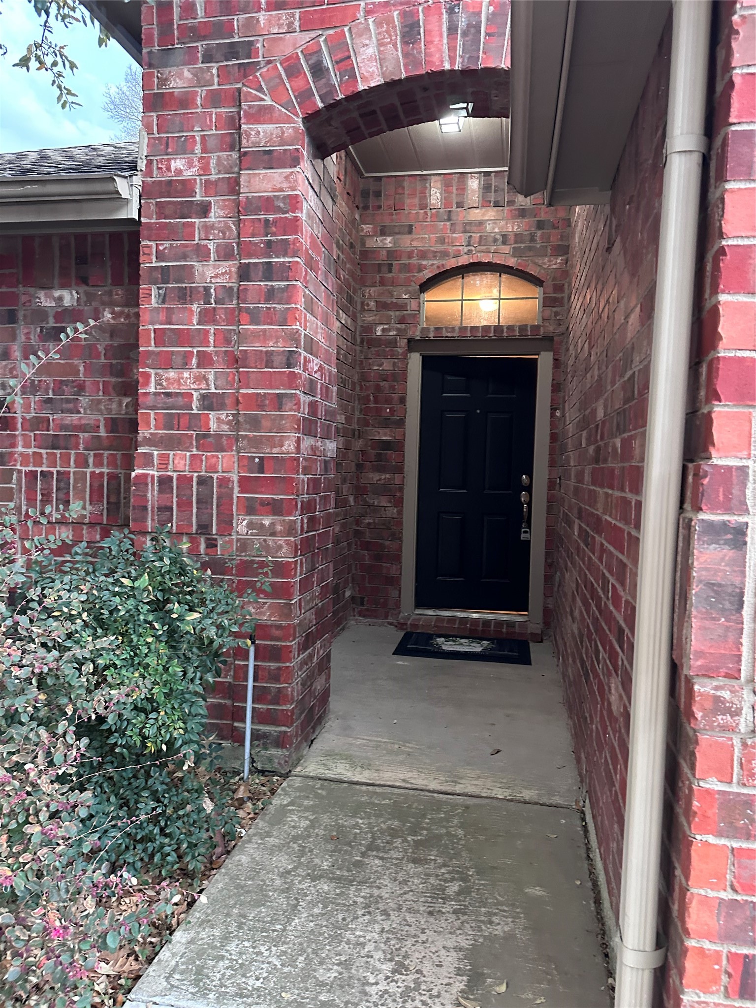 3321 Truman Street, Mckinney, TX, 75071