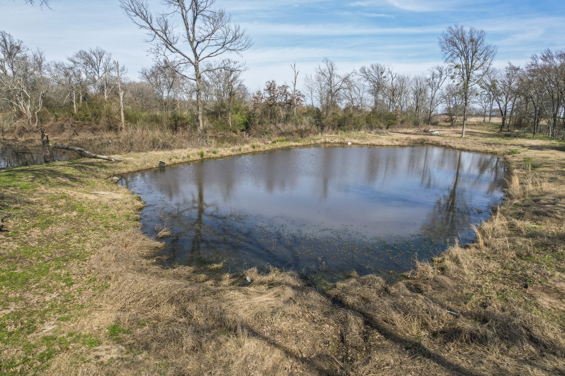 1960 County Road 1030, Mount Vernon, TX, 75457
