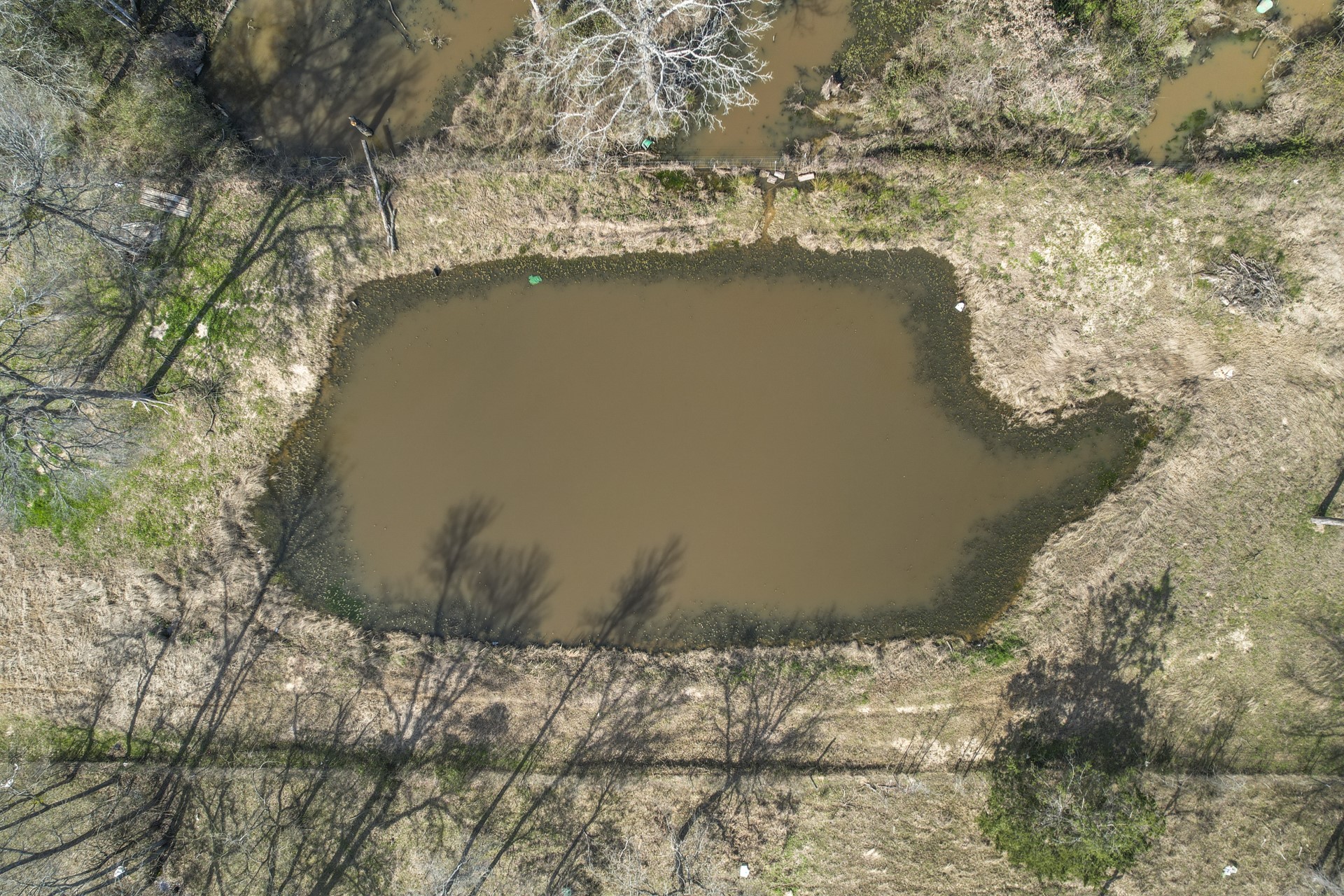 1960 County Road 1030, Mount Vernon, TX, 75457