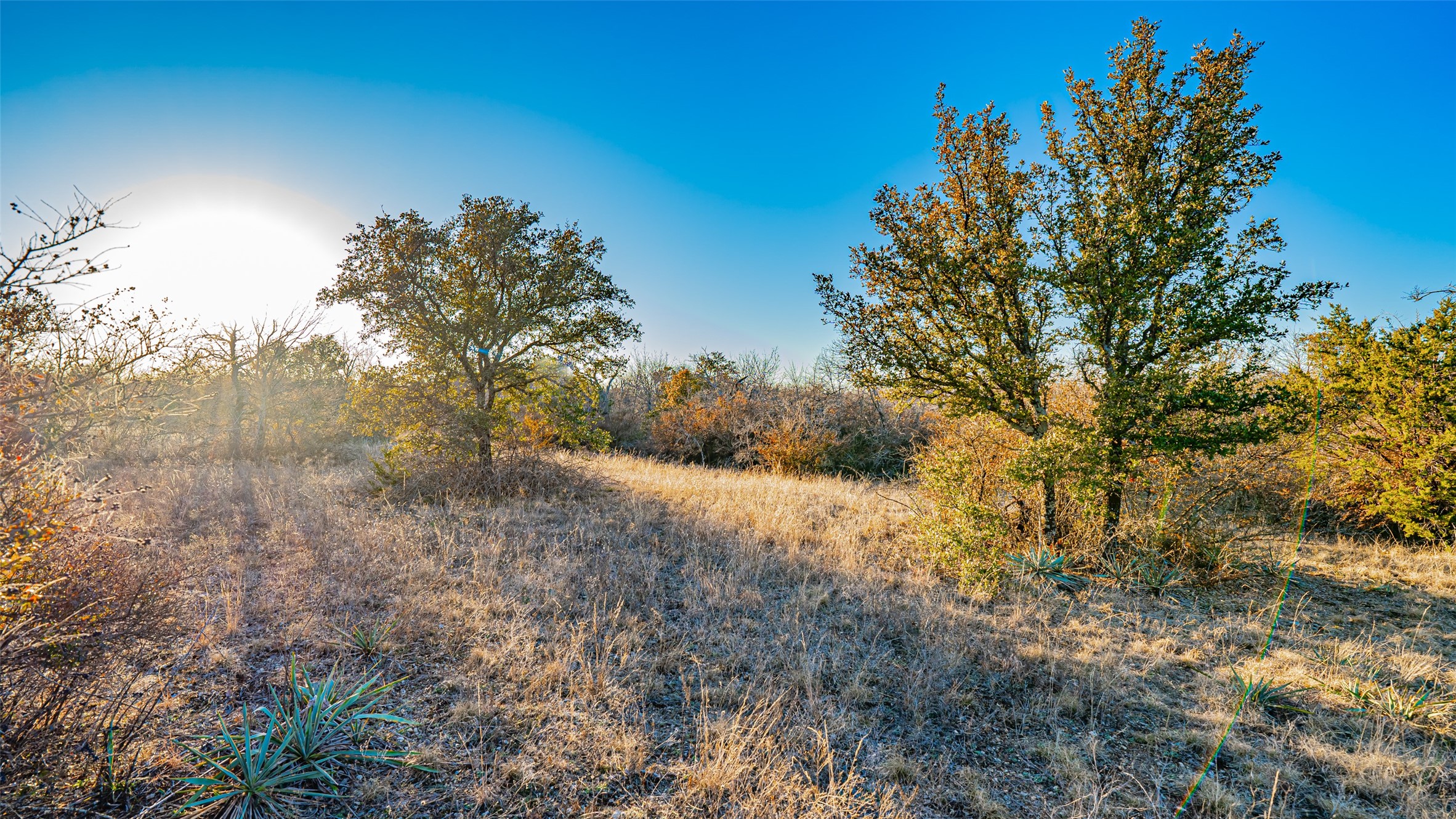 2220 Walter Smith Court, Azle, TX, 76020