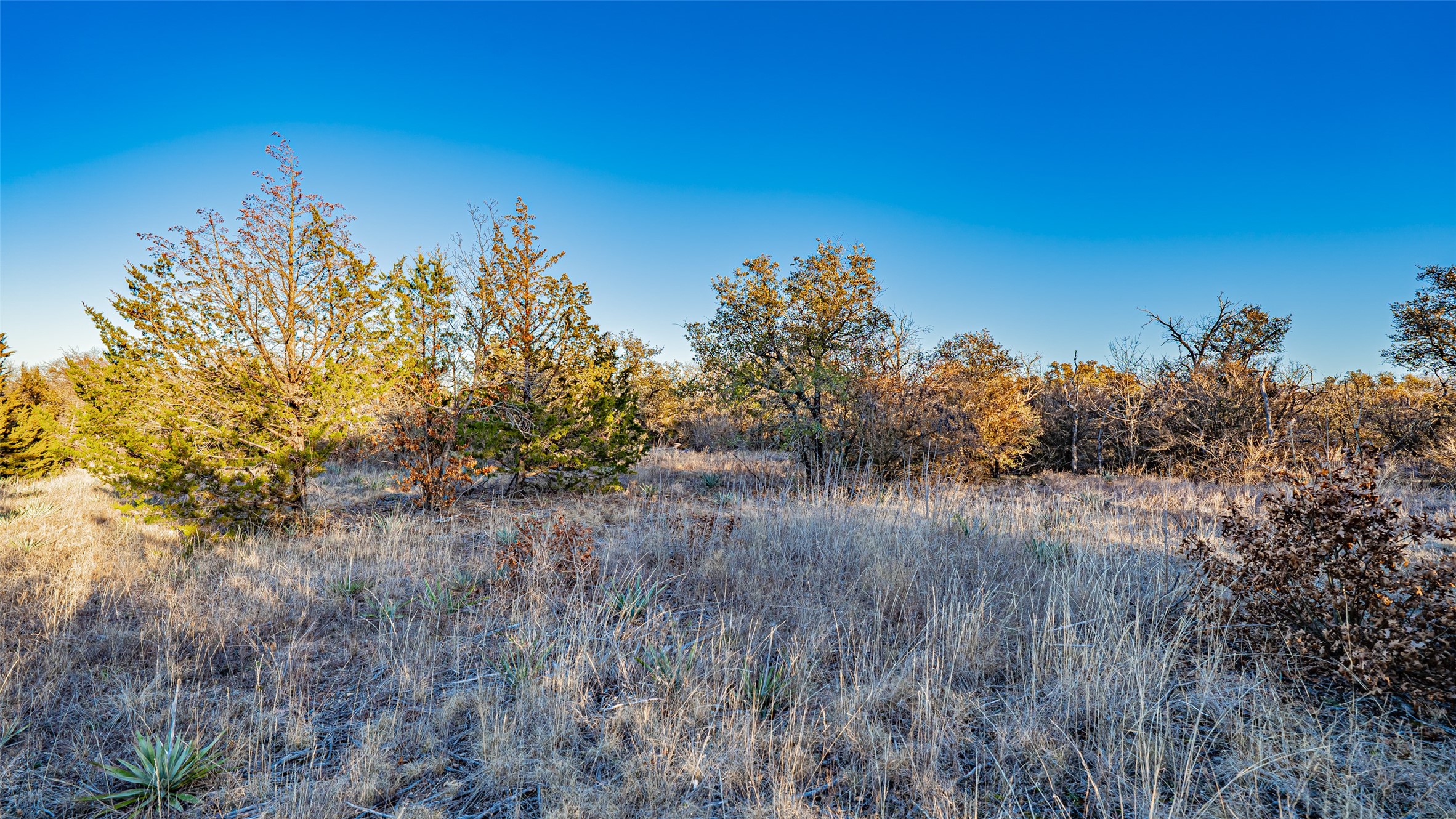 2220 Walter Smith Court, Azle, TX, 76020