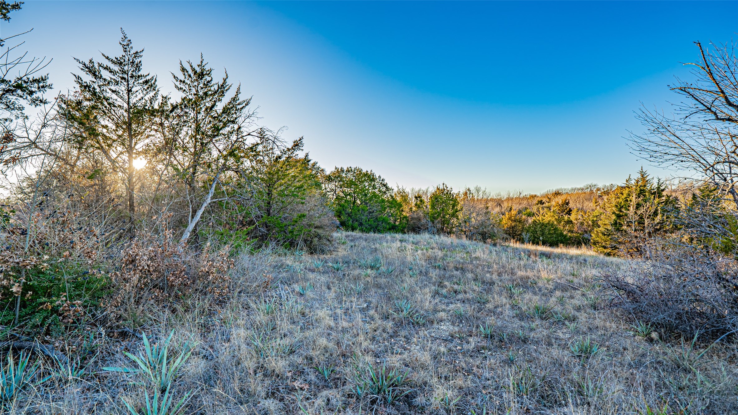 2220 Walter Smith Court, Azle, TX, 76020