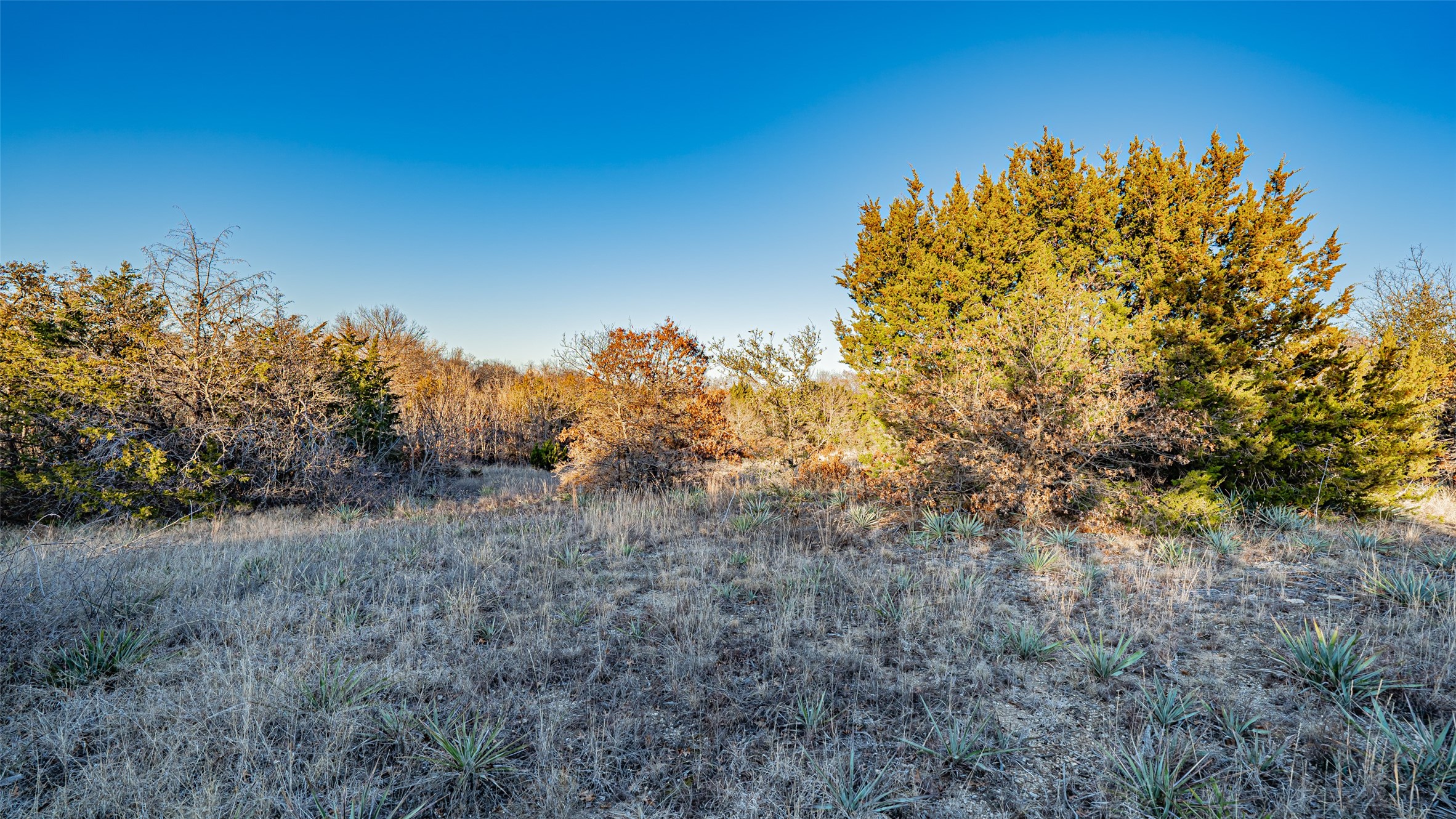 2220 Walter Smith Court, Azle, TX, 76020