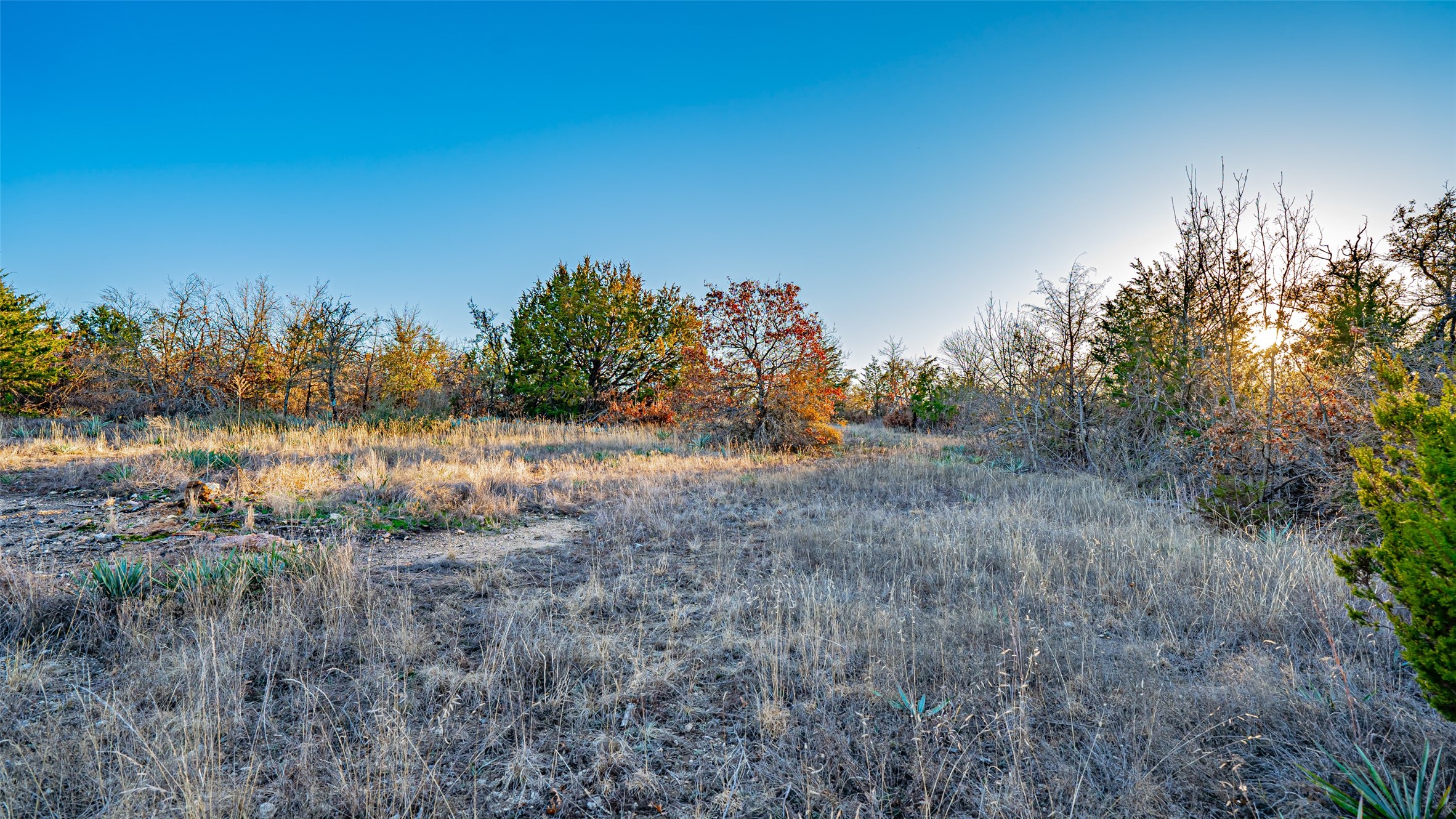 2220 Walter Smith Court, Azle, TX, 76020