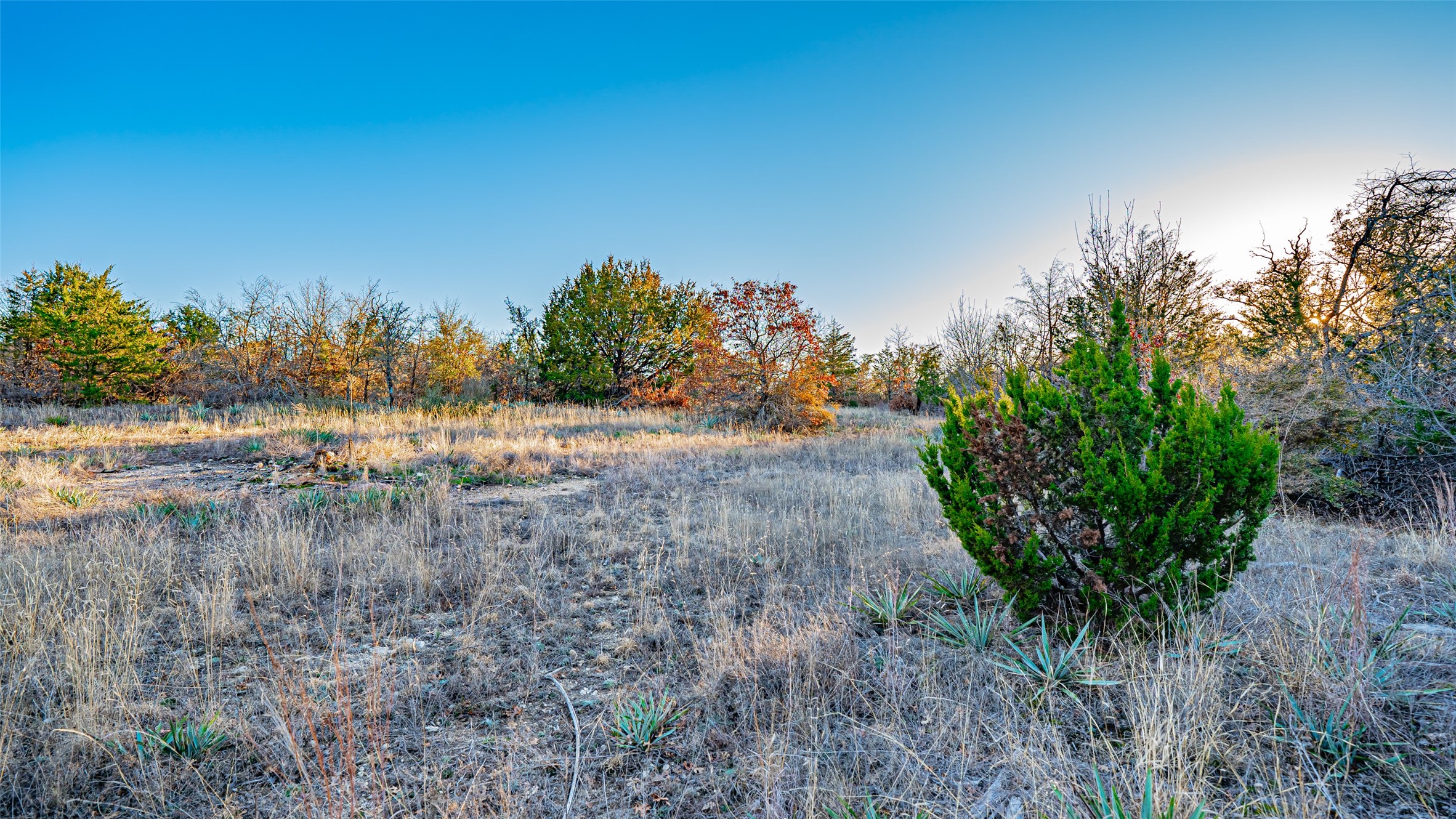 2220 Walter Smith Court, Azle, TX, 76020