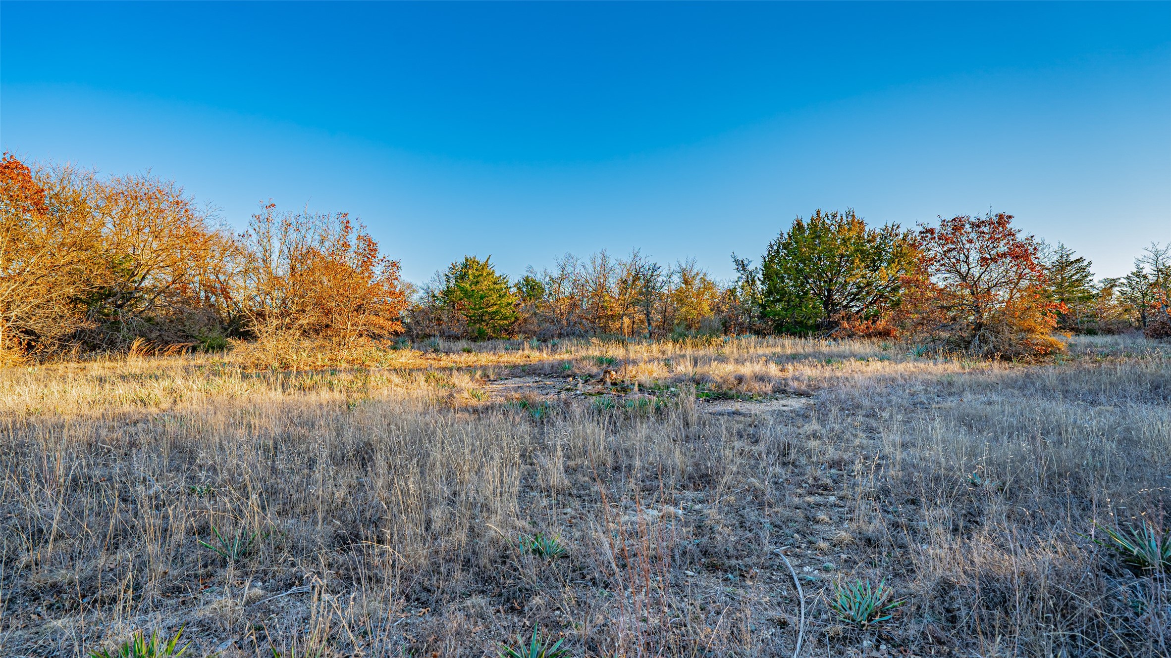 2220 Walter Smith Court, Azle, TX, 76020
