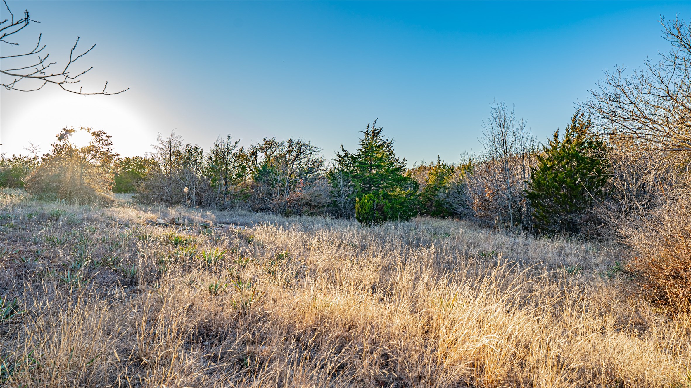 2220 Walter Smith Court, Azle, TX, 76020