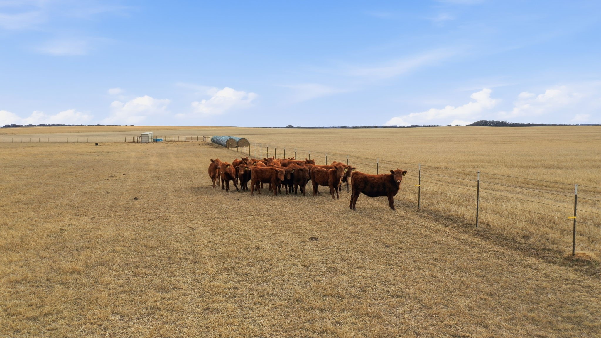 2597 Highway 587, De Leon, TX, 76444