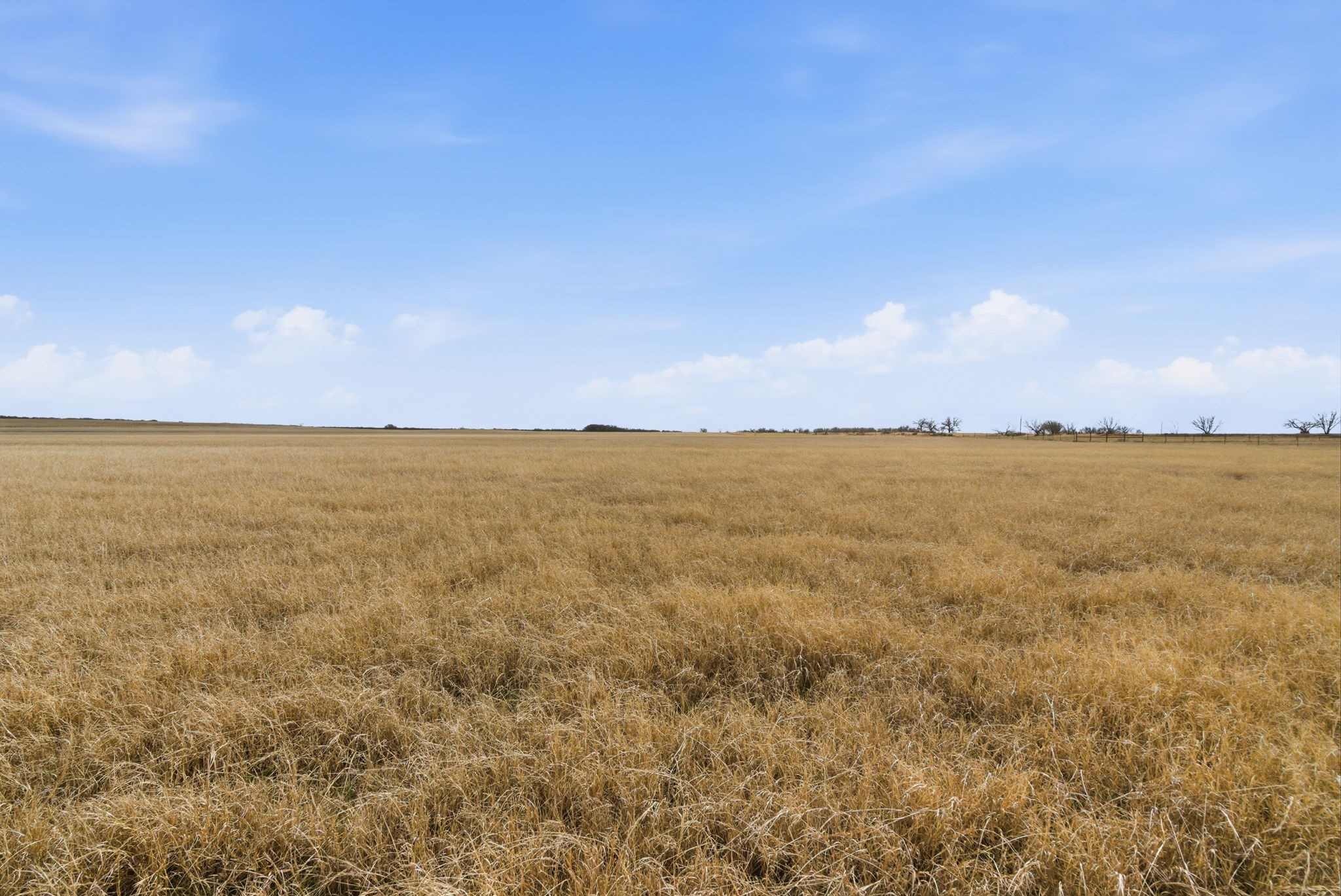 2597 Highway 587, De Leon, TX, 76444
