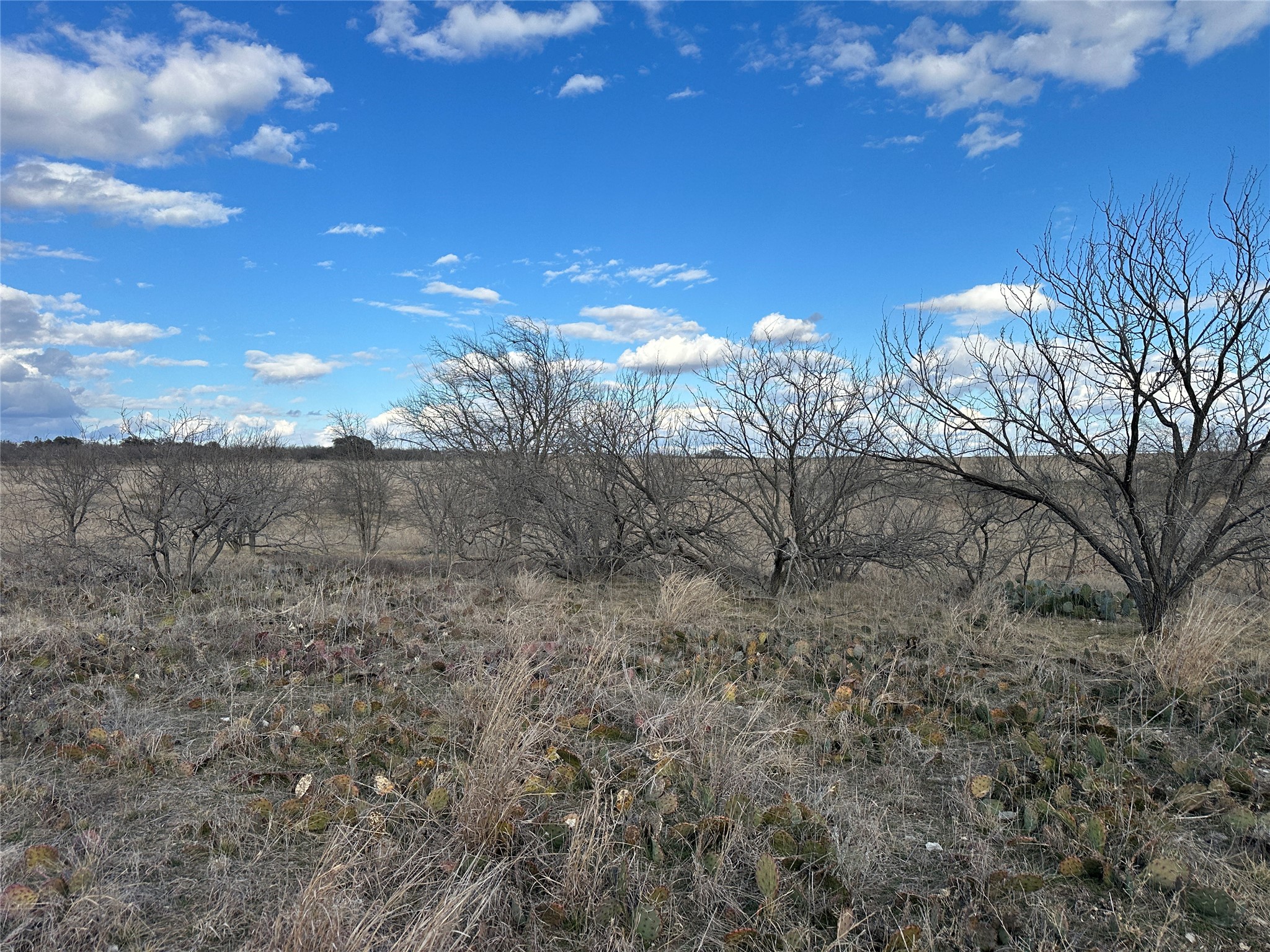 116 Comanche Lake Road, Comanche, TX, 76442
