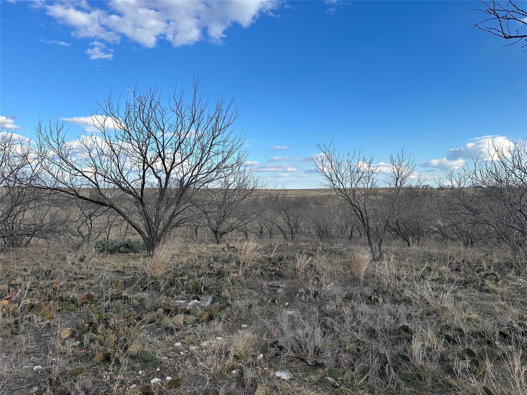 116 Comanche Lake Road, Comanche, TX, 76442