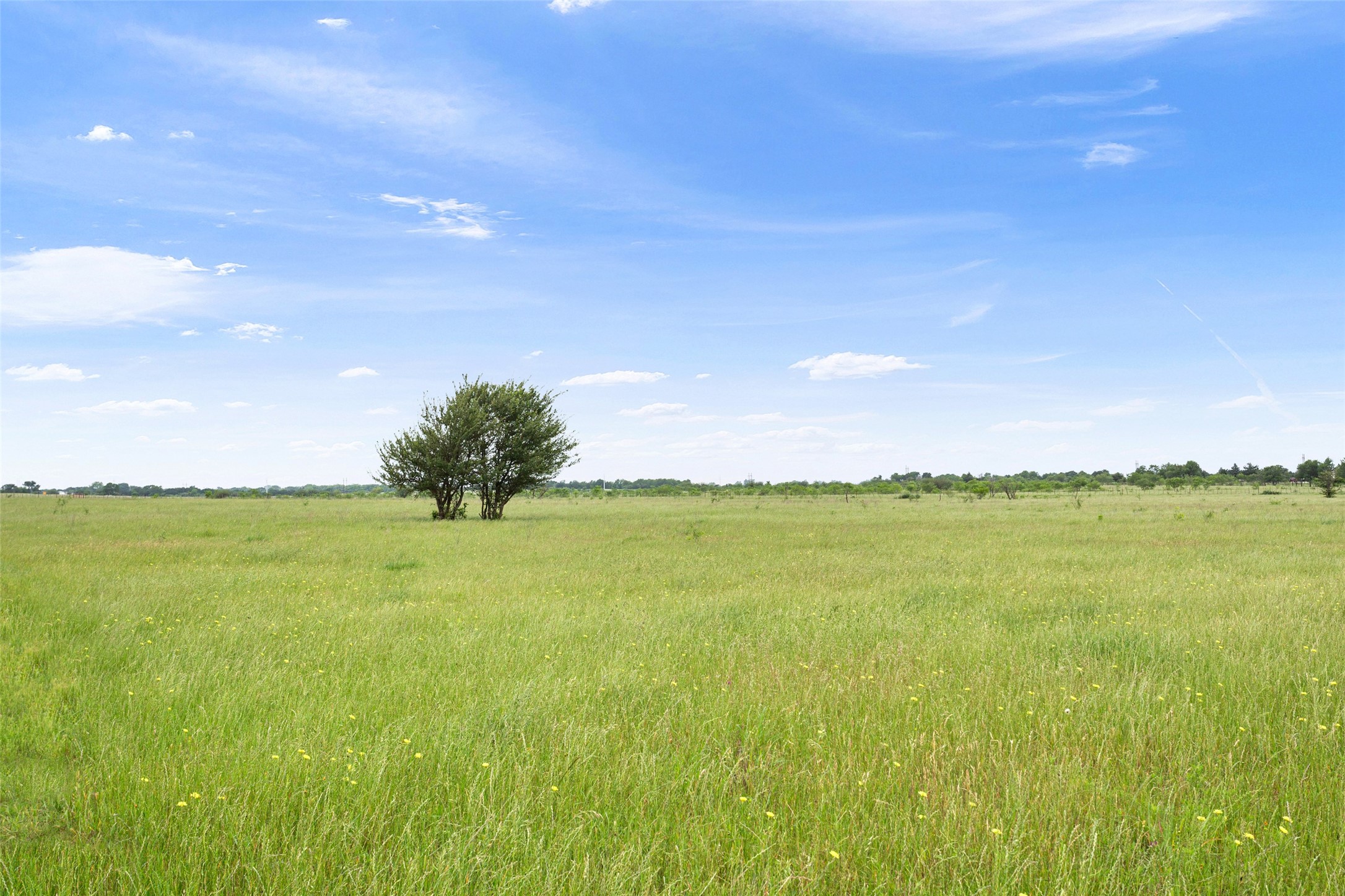 TBD S Highway 14, Groesbeck, TX, 76642