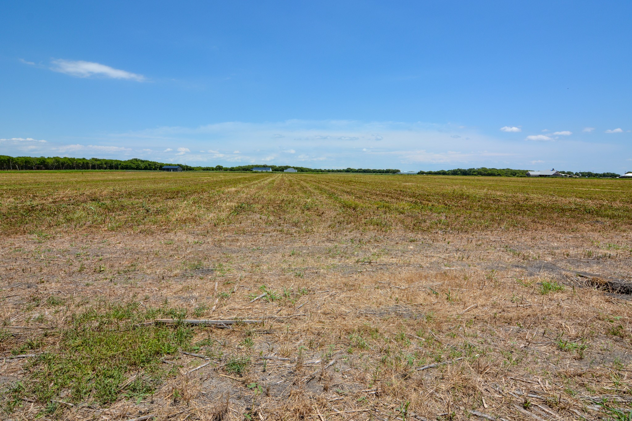 9117 County Road 101A, Grandview, TX, 76050
